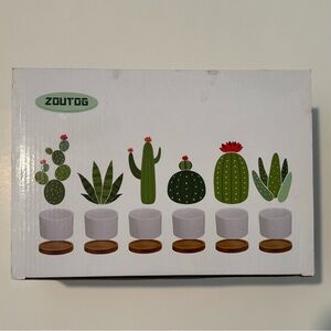 Six White Ceramic Planter Set with Wooden Base